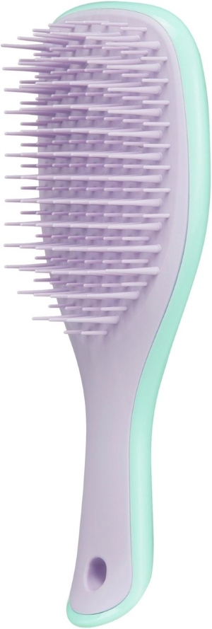 Tangle Teezer Ultimate Detangler Mini Wisteria Leaf -selvitysharja